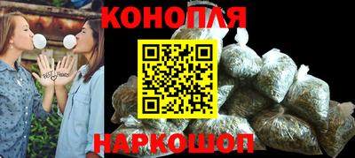 гашик Малгобек