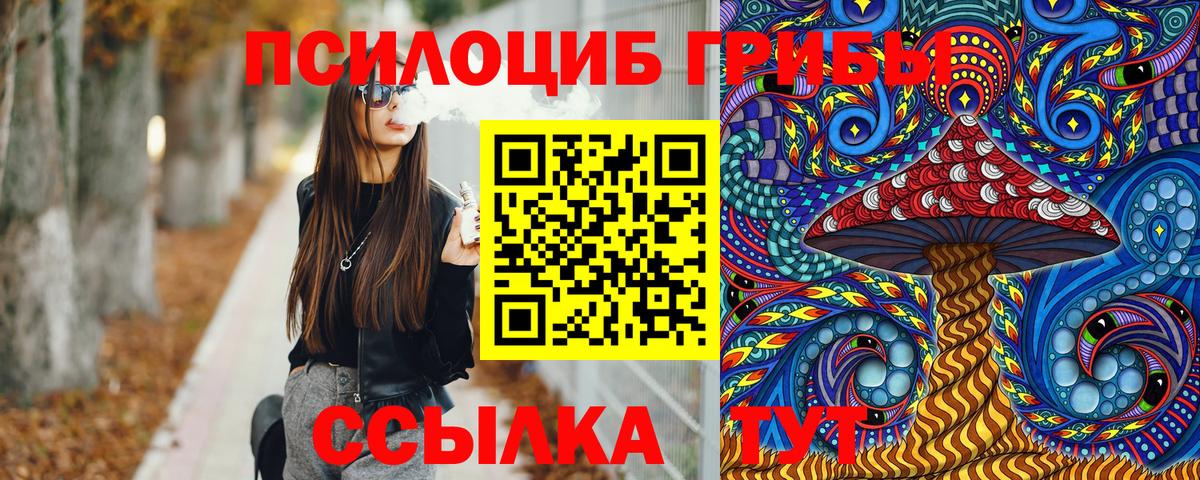 Галлюциногенные грибы MAGIC MUSHROOMS Великий Устюг