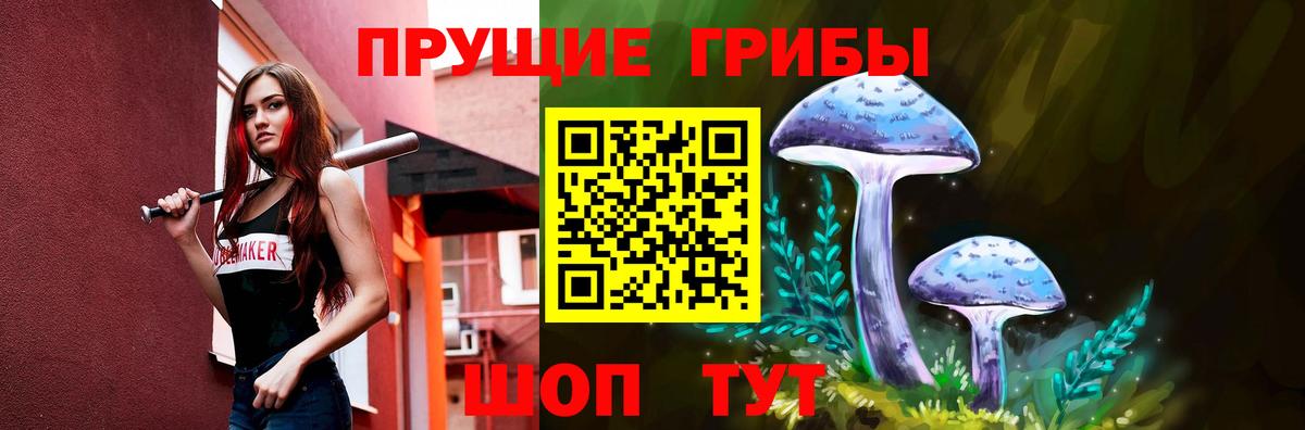 Великий Устюг  Галлюциногенные грибы мицелий  Вход с VPN 